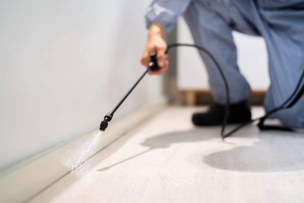 Bed Bug Pre-Treatment Preparation Assessment in Lutz
