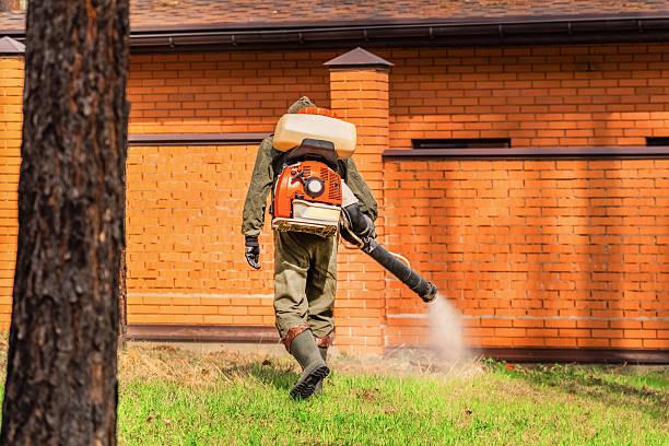 Bed Bug Clearance Verification and Documentation in Lutz